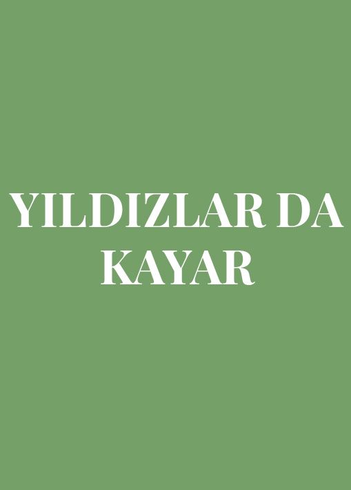 YILDIZLAR DA KAYAR resmi