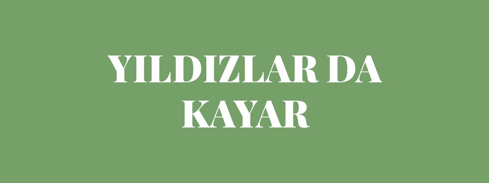 YILDIZLAR DA KAYAR resmi