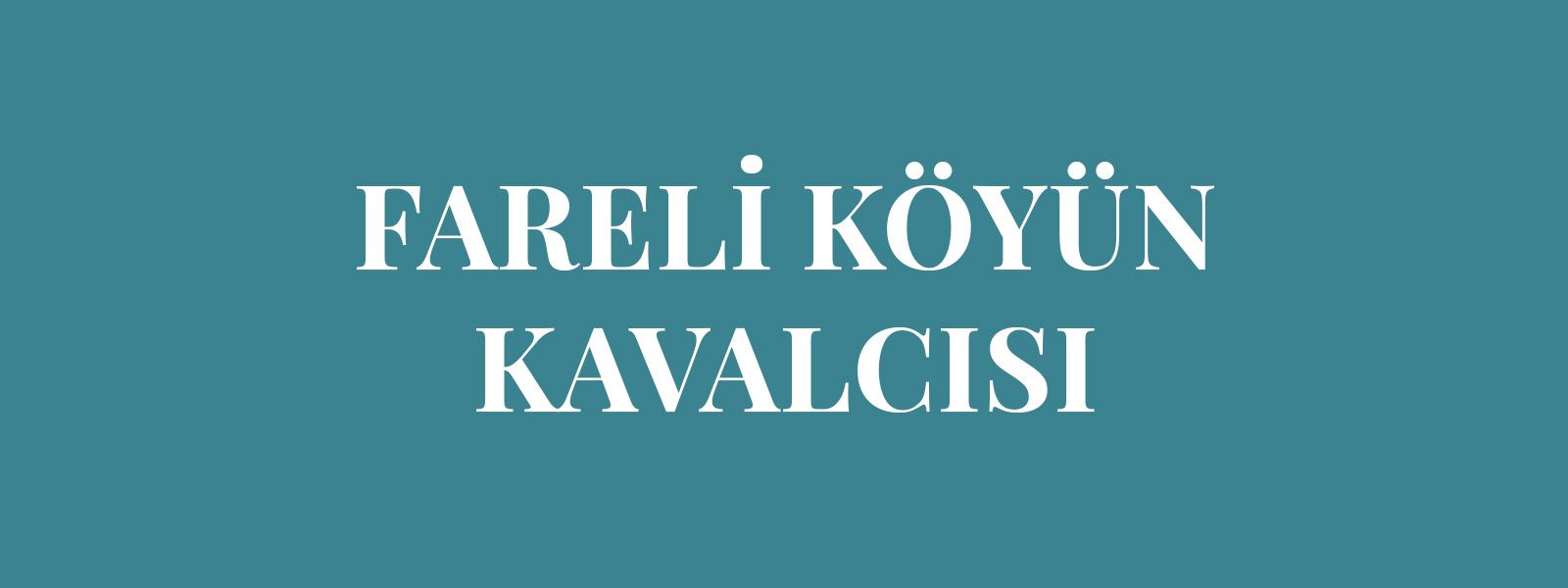 FARELİ KÖYÜN KAVALCISI resmi