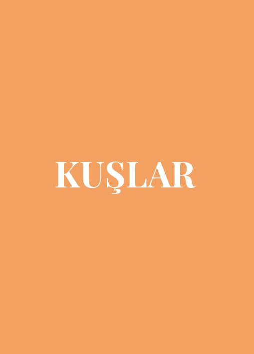 KUŞLAR resmi