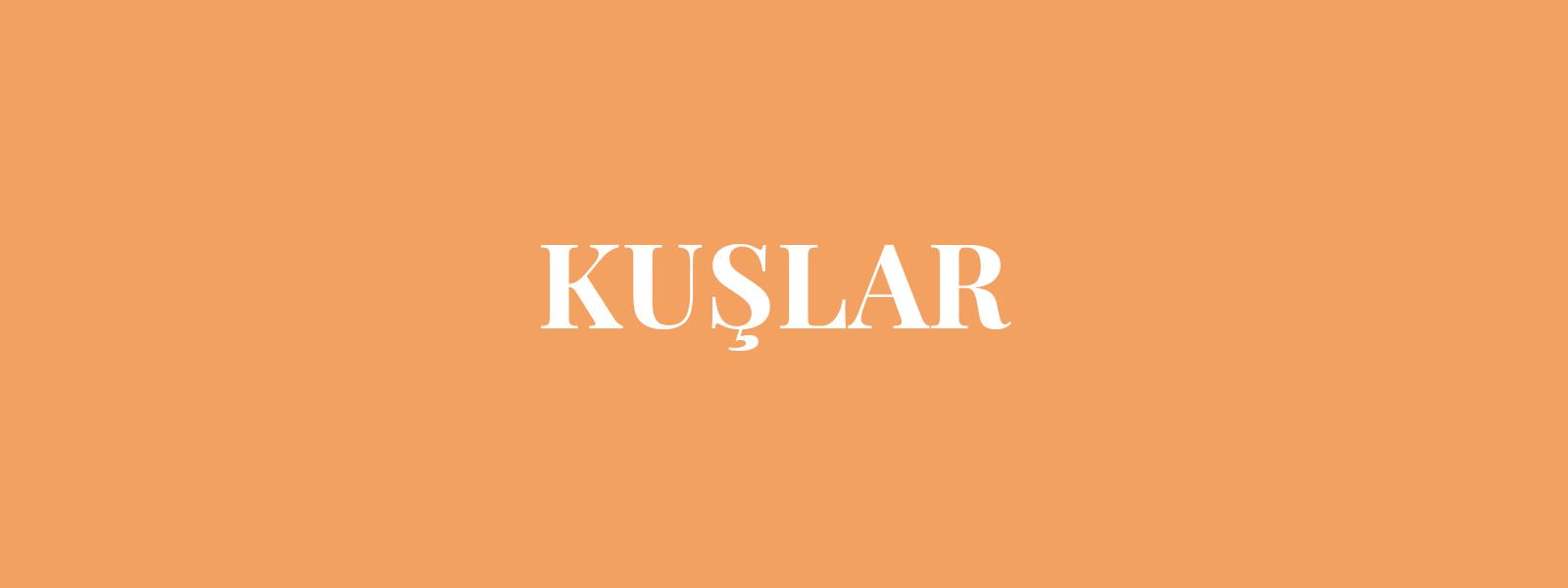 KUŞLAR resmi