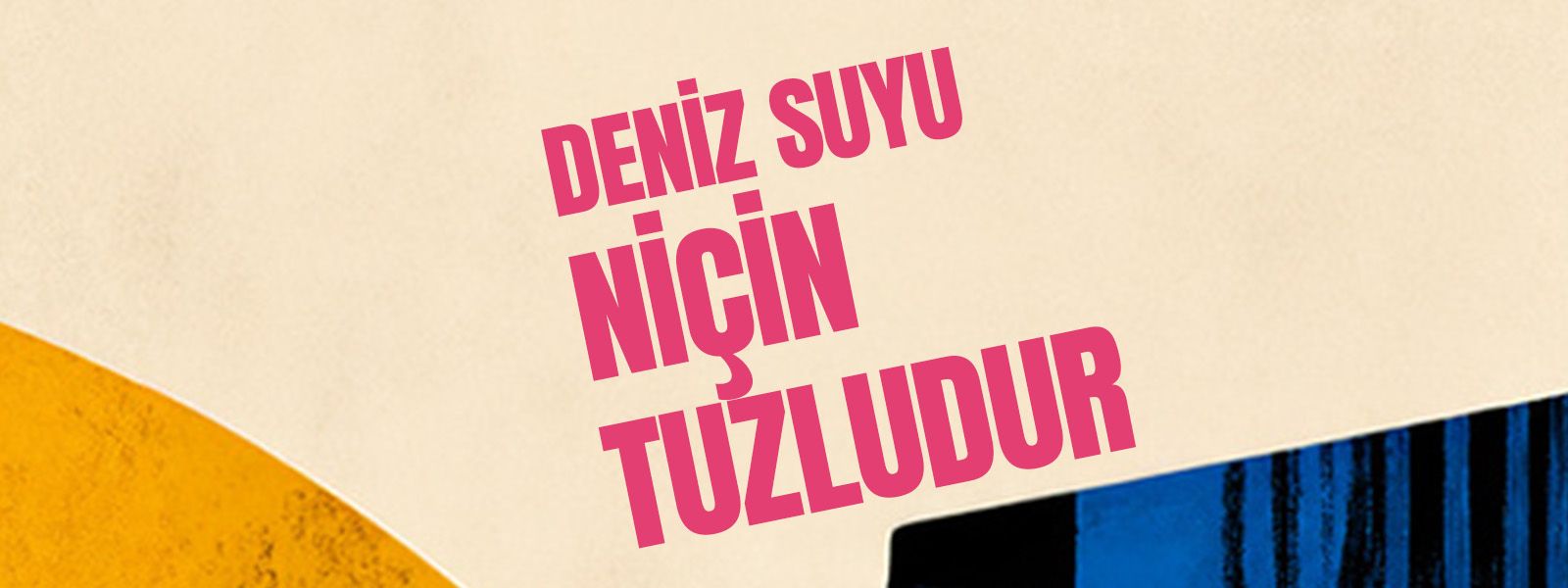 Deniz Suyu Niçin Tuzludur resmi